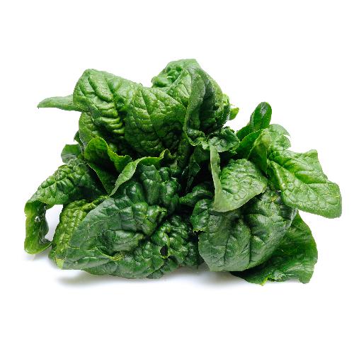 BLOOMSDALE SPINACH