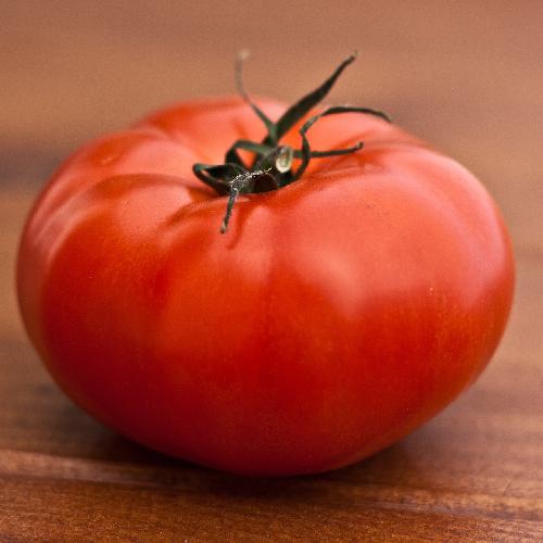 DELICIOUS TOMATO