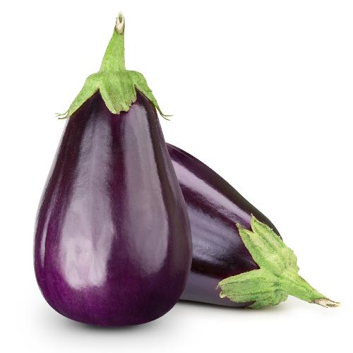 FLORIDA MARKET EGGPLANT