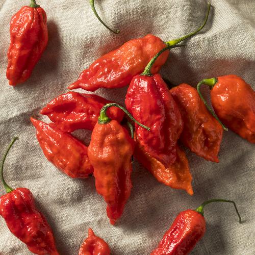 GHOST PEPPER
