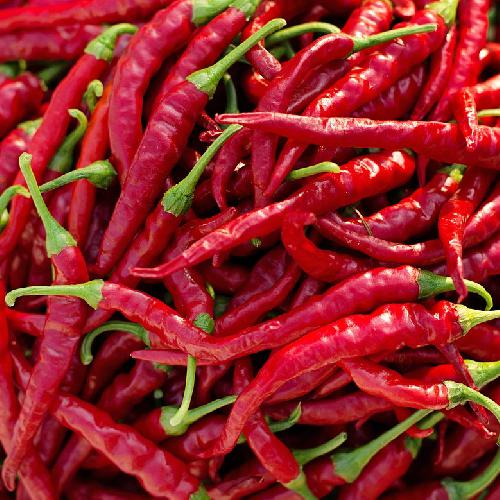 LONG RED CAYENNE PEPPER