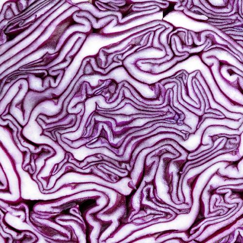 RED ACRE CABBAGE