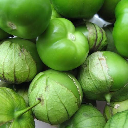 TOMATILLO VERDE