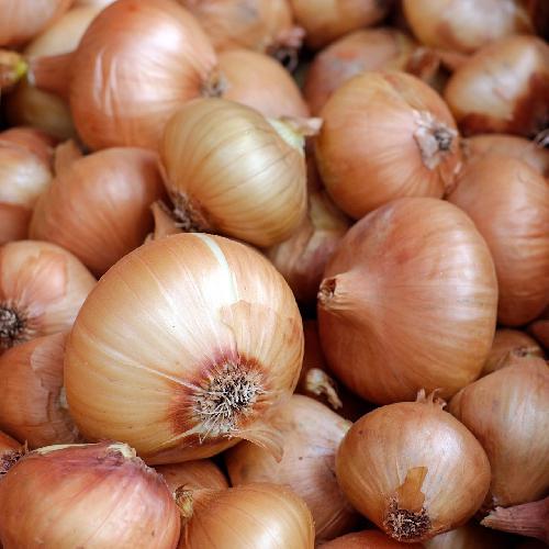 VIDALIA SWEET GRANEX ONION